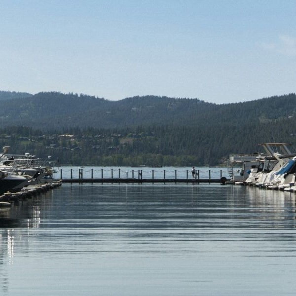 NAEGELI Deposition and Trial